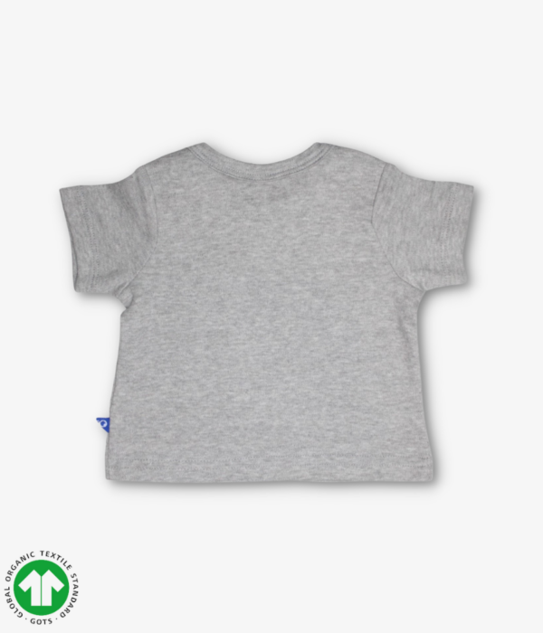 Boys short sleeve Tshirt.Envelope neck.